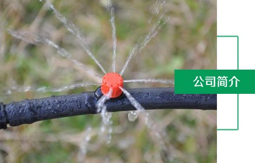 公司簡介