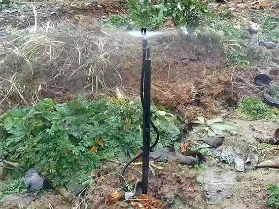 地插微（wēi）噴